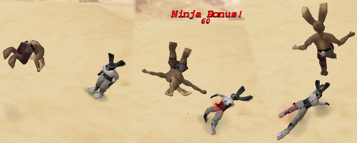Ninja-bonus.jpg